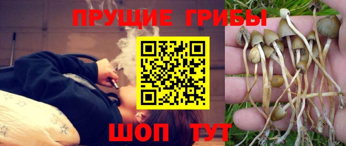 Псилоцибиновые грибы мухоморы  Псилоцибиновые грибы Psilocybe  Геленджик  Вход с VPN 